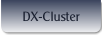 DX-Cluster.